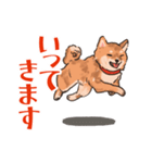 柴犬のコタロー日常スタンプ（個別スタンプ：7）