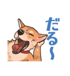 柴犬のコタロー日常スタンプ（個別スタンプ：9）