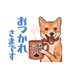 柴犬のコタロー日常スタンプ（個別スタンプ：10）