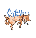 柴犬のコタロー日常スタンプ（個別スタンプ：12）