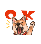 柴犬のコタロー日常スタンプ（個別スタンプ：13）