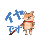 柴犬のコタロー日常スタンプ（個別スタンプ：18）