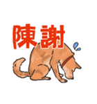 柴犬のコタロー日常スタンプ（個別スタンプ：20）