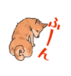 柴犬のコタロー日常スタンプ（個別スタンプ：25）