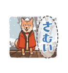 柴犬のコタロー日常スタンプ（個別スタンプ：28）