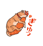 柴犬のコタロー日常スタンプ（個別スタンプ：33）