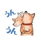 柴犬のコタロー日常スタンプ（個別スタンプ：37）