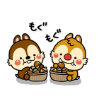 いしいともこ画♪チップとデール（個別スタンプ：21）