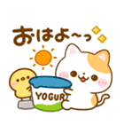 大人の思いやり♡ねこねこにゃんこ（個別スタンプ：1）