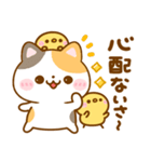 大人の思いやり♡ねこねこにゃんこ（個別スタンプ：5）