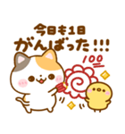 大人の思いやり♡ねこねこにゃんこ（個別スタンプ：14）