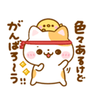 大人の思いやり♡ねこねこにゃんこ（個別スタンプ：23）
