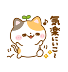 大人の思いやり♡ねこねこにゃんこ（個別スタンプ：24）