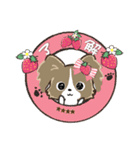 ♡愛犬の名前が入る♡パピヨン×いちご♡（個別スタンプ：2）