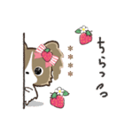 ♡愛犬の名前が入る♡パピヨン×いちご♡（個別スタンプ：15）