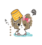 ♡愛犬の名前が入る♡パピヨン×いちご♡（個別スタンプ：19）