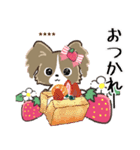 ♡愛犬の名前が入る♡パピヨン×いちご♡（個別スタンプ：29）