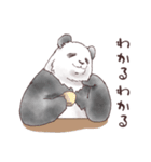 パンダとコアリクイ☆ハートの詰め合わせ（個別スタンプ：25）