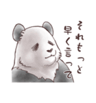 パンダとコアリクイ☆ハートの詰め合わせ（個別スタンプ：37）