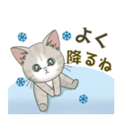 【雪の日の】仔猫のぽんにゃん【連絡に】（個別スタンプ：1）
