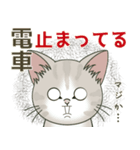 【雪の日の】仔猫のぽんにゃん【連絡に】（個別スタンプ：8）