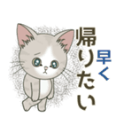 【雪の日の】仔猫のぽんにゃん【連絡に】（個別スタンプ：11）