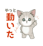 【雪の日の】仔猫のぽんにゃん【連絡に】（個別スタンプ：12）