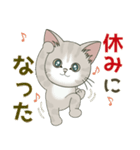【雪の日の】仔猫のぽんにゃん【連絡に】（個別スタンプ：17）