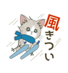 【雪の日の】仔猫のぽんにゃん【連絡に】（個別スタンプ：19）