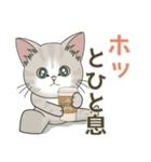 【雪の日の】仔猫のぽんにゃん【連絡に】（個別スタンプ：24）