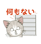 【雪の日の】仔猫のぽんにゃん【連絡に】（個別スタンプ：27）