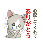 【雪の日の】仔猫のぽんにゃん【連絡に】（個別スタンプ：32）