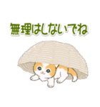 気持ち伝える ハートにゃんこ（個別スタンプ：11）