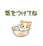 気持ち伝える ハートにゃんこ（個別スタンプ：12）