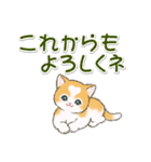 気持ち伝える ハートにゃんこ（個別スタンプ：20）
