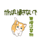 気持ち伝える ハートにゃんこ（個別スタンプ：23）