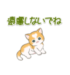 気持ち伝える ハートにゃんこ（個別スタンプ：24）