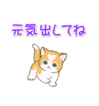 気持ち伝える ハートにゃんこ（個別スタンプ：31）