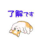 気持ち伝える ハートにゃんこ（個別スタンプ：37）
