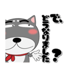 黒柴（くろしば） ★全ての会社員に捧ぐ（個別スタンプ：31）