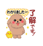 かわいいトイプードル「長文」（個別スタンプ：3）