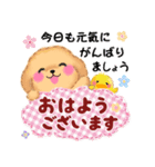 かわいいトイプードル「長文」（個別スタンプ：5）