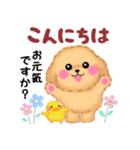 かわいいトイプードル「長文」（個別スタンプ：7）