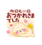 かわいいトイプードル「長文」（個別スタンプ：11）