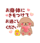 かわいいトイプードル「長文」（個別スタンプ：12）