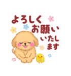 かわいいトイプードル「長文」（個別スタンプ：13）