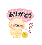 かわいいトイプードル「長文」（個別スタンプ：18）