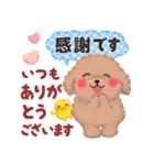 かわいいトイプードル「長文」（個別スタンプ：19）