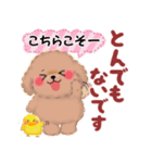 かわいいトイプードル「長文」（個別スタンプ：22）