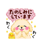 かわいいトイプードル「長文」（個別スタンプ：27）